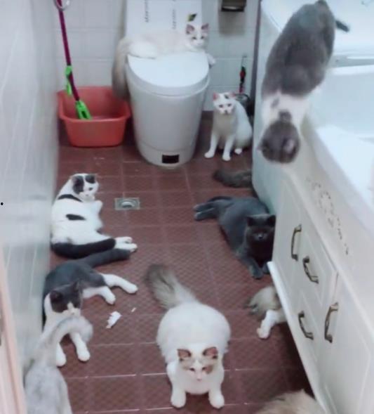 娱乐吃瓜酱出门忘关空调